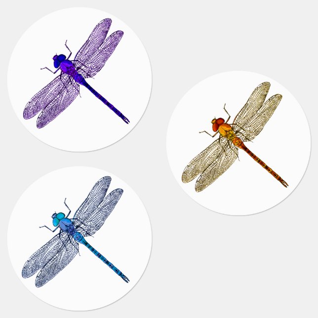 Three Colors Dragonfly Stickers (Group)
