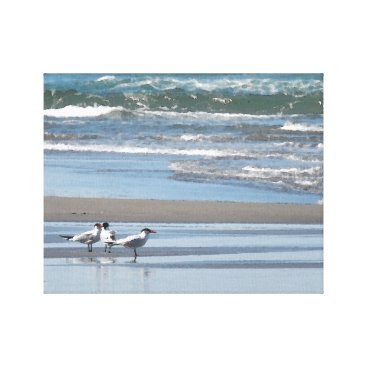 Three Common Terns Watercolor Wrapped Canvas Three Common Terns Watercolor Wrapped Canvas