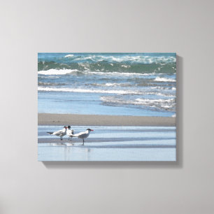 Three Common Terns Watercolor Wrapped Canvas Print