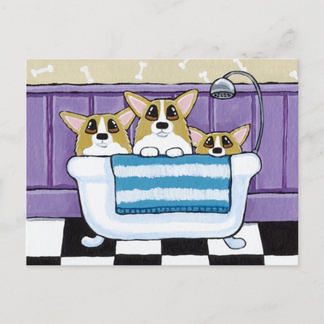 Three Corgis in the Bathtub Postcard (Front)