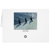 Three Cormorants Cards (Back Horizontal)