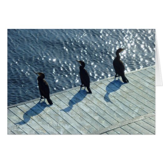 Three Cormorants Cards (Front Horizontal)