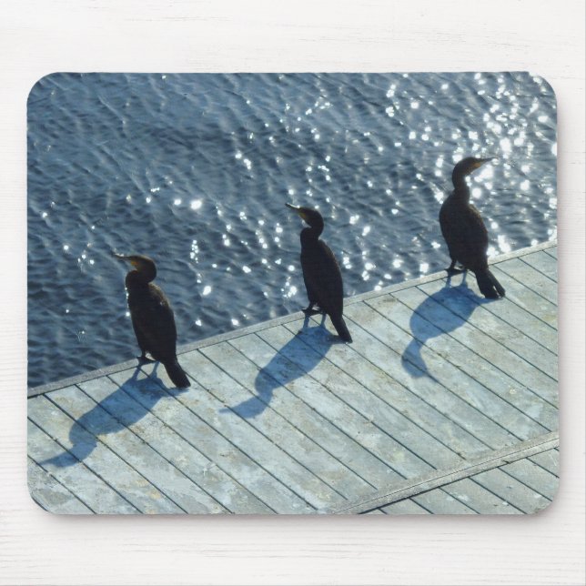 Three Cormorants Mouse Pad (Front)