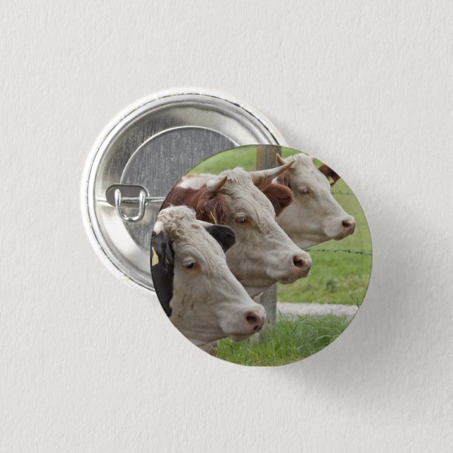 Three Cows in a Row Button (Front & Back)
