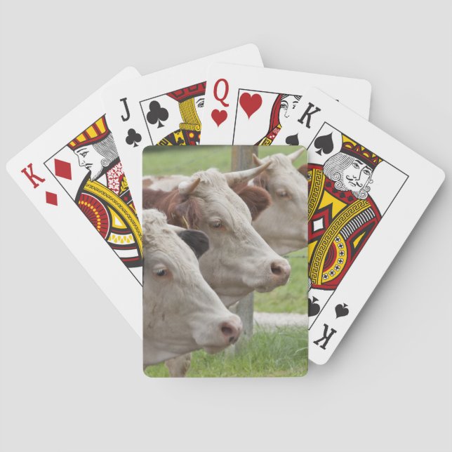 Three Cows in a Row Playing Cards (Back)