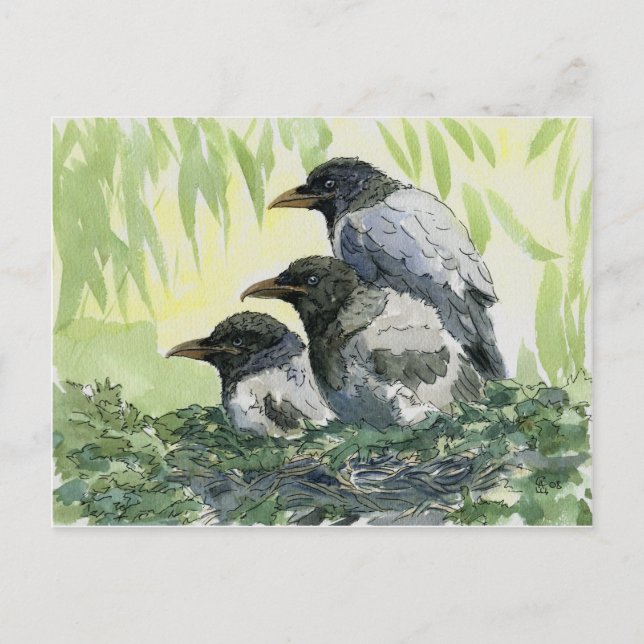 Three crow by schukina postcard (Front)