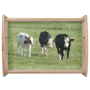 Three Cute Cows Serving Tray