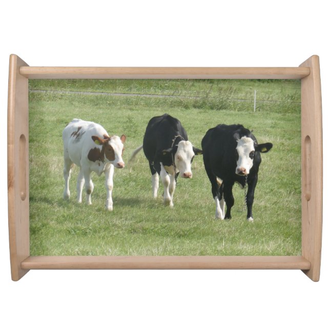 Three Cute Cows Serving Tray (Front)