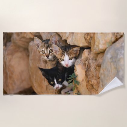 Three Cute Curious Cat Kittens Faces Funny Photo , Beach Towel