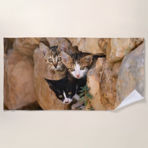 Three Cute Curious Cat Kittens Faces Funny Photo  Beach Towel