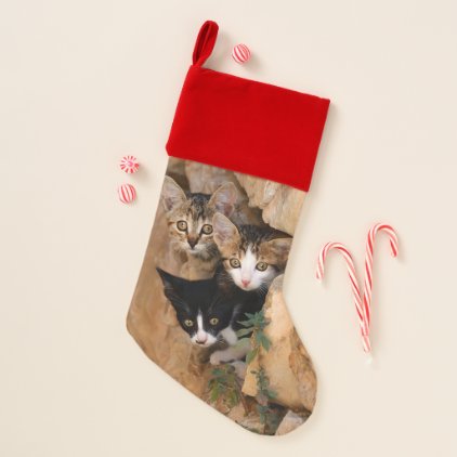 Three Cute Curious Cat Kittens Faces Funny Photo * Christmas Stocking