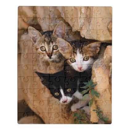 Three Cute Curious Cat Kittens Faces Funny Photo * Jigsaw Puzzle