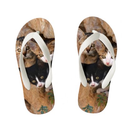 Three Cute Curious Cat Kittens Faces Funny Photo * Kid&#39;s Flip Flops