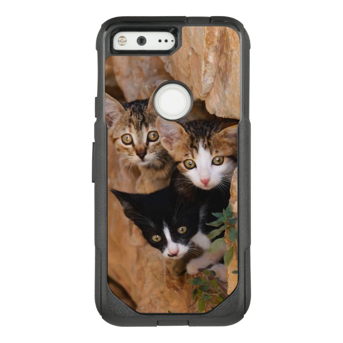 Three Cute Curious Cat Kittens Faces Funny Photo Otterbox