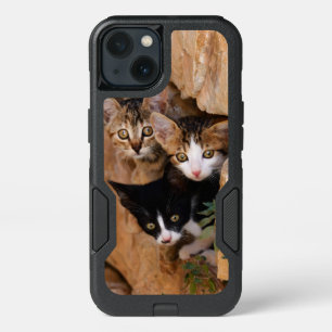Three Cute Curious Cat Kittens Faces Funny Photo _ iPhone 13 Case