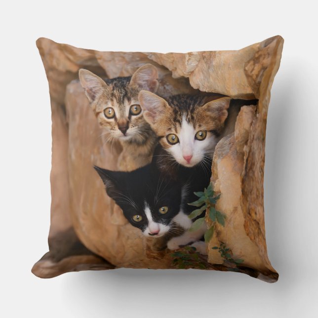 Three Cute Curious Cat Kittens Faces Funny Photo - Throw Pillow (Front)