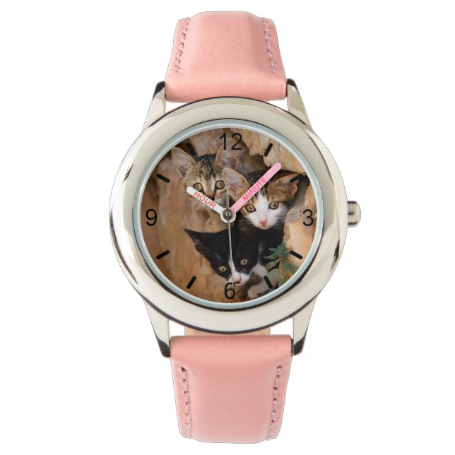 Three Cute Curious Cat Kittens Funny , dial-plate Watch (Front)