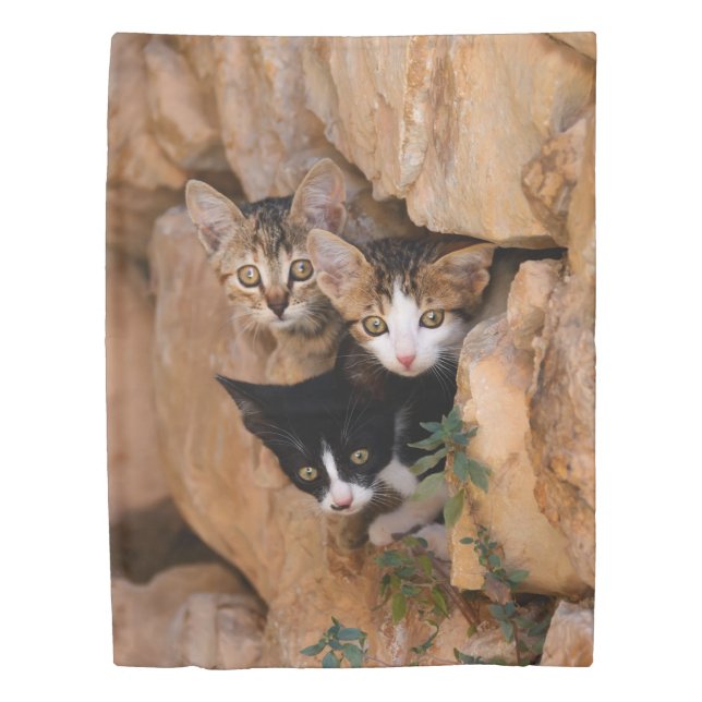 Three Cute Curious Cat Kittens, Photo Bedding Duvet Cover (Front)