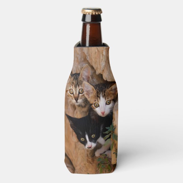Three cute curious kittens bottle cooler (Bottle Front)
