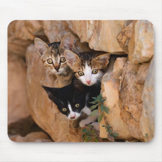 Three cute curious kittens mouse pad (Front)