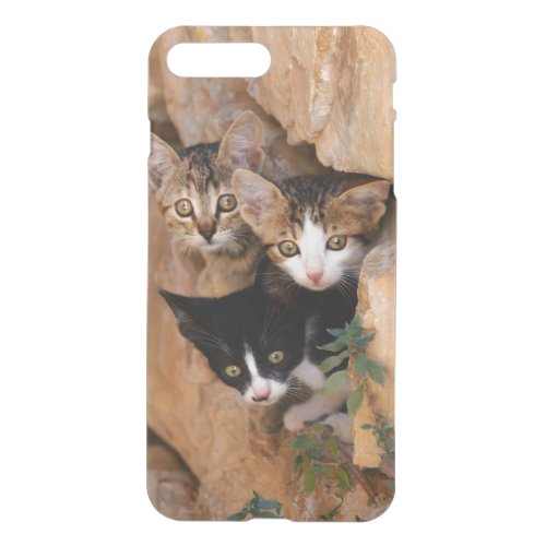 Three Cute Curious Kittens Photo Phonecover iPhone 8 Plus7 Plus Case