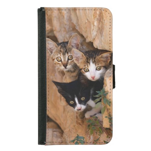 Three cute curious kittens wallet phone case for samsung galaxy s5