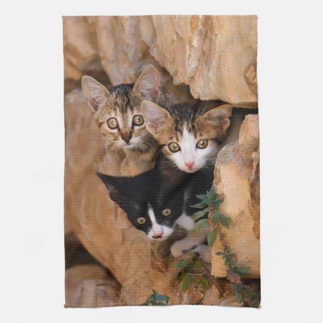 Three cute curious kittens towel (Vertical)