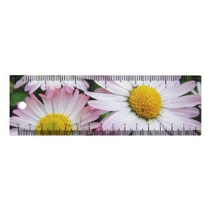 Three cute daisies ruler