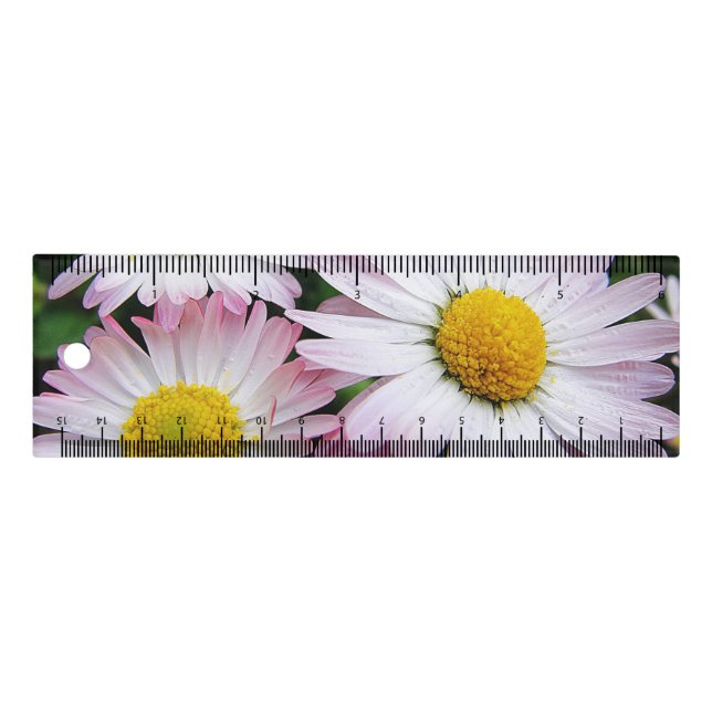 Three cute daisies ruler (Front)