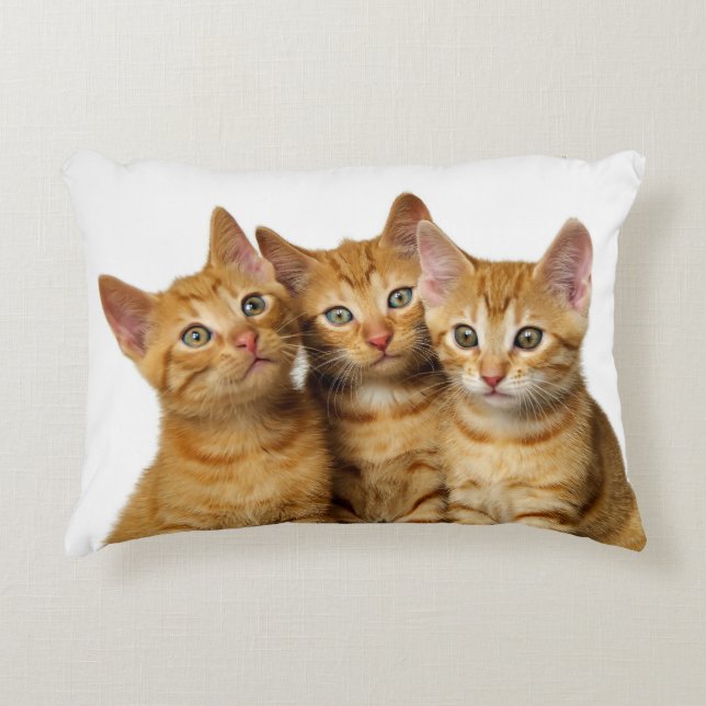Three Cute Ginger Cat Kittens Friends Head Photo - Accent Pillow (Front)