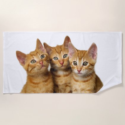 Three Cute Ginger Cat Kittens Friends Head Photo , Beach Towel