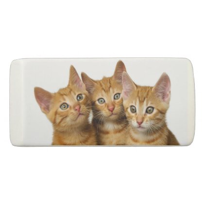 Three Cute Ginger Cat Kittens Friends Head Photo ; Eraser