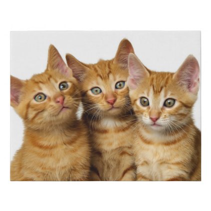 Three Cute Ginger Cat Kittens Friends Head Photo , Faux Canvas Print