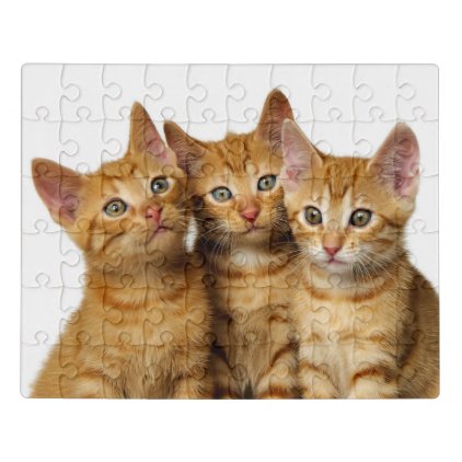 Three Cute Ginger Cat Kittens Friends Head Photo * Jigsaw Puzzle