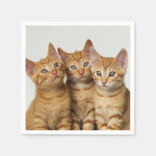 Three Cute Ginger Cat Kittens Friends Head Photo  Napkins