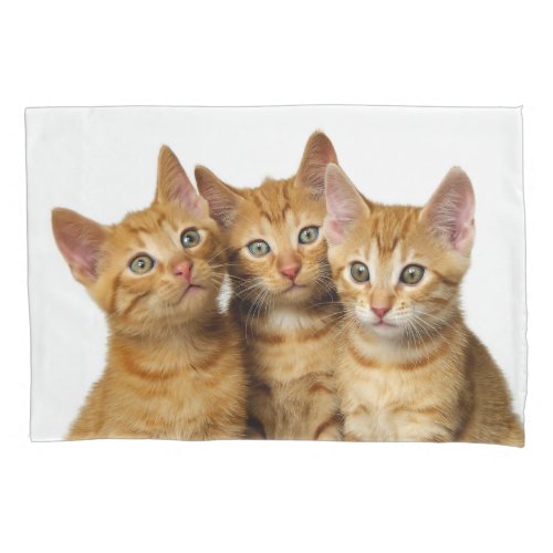Three Cute Ginger Cat Kittens Friends Head Photo _ Pillow Case