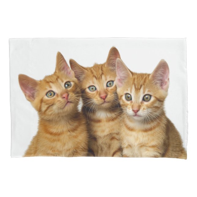 Three Cute Ginger Cat Kittens Friends Head Photo - Pillow Case (Front)