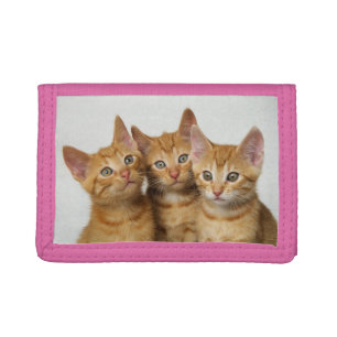 Three Cute Ginger Cat Kittens Friends Head Photo - Tri-fold Wallet