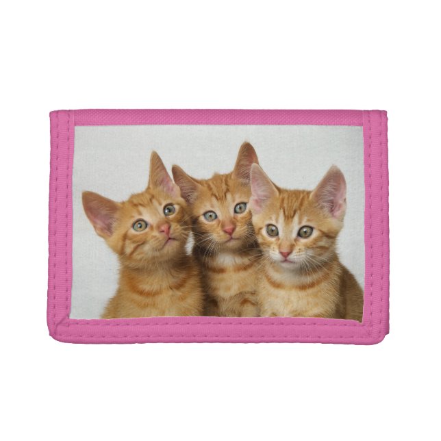 Three Cute Ginger Cat Kittens Friends Head Photo - Tri-fold Wallet (Front)