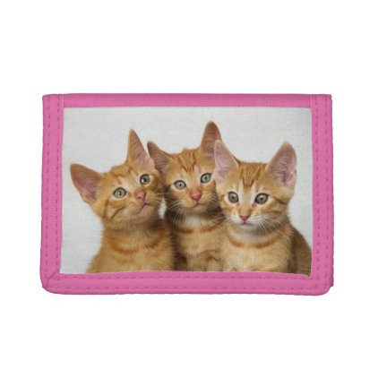Three Cute Ginger Cat Kittens Friends Head Photo - Tri-fold Wallets