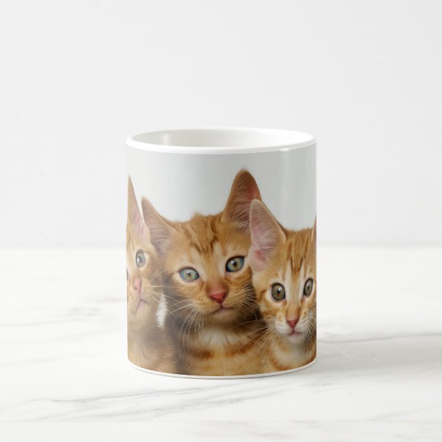 Three cute ginger kittens side by side coffee mug (Center)