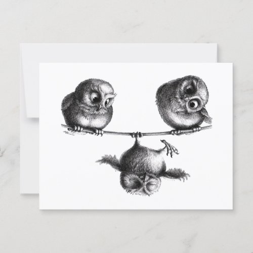 Three Cute Happy Sporty Owls Postcard