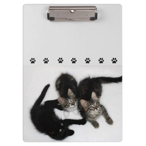 Three Cute Kittens Clipboard