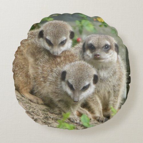 Three Cute Meerkats Round Pillow