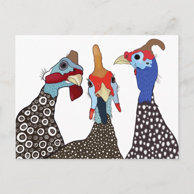 Three Cute Patterned Guinea Fowl Birds Postcard (Front)