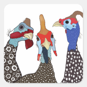 Three Cute Patterned Guinea Fowl Birds Square Sticker