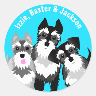 Three Cute Schnauzers Classic Round Sticker