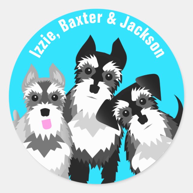 Three Cute Schnauzers Classic Round Sticker (Front)