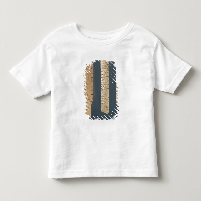 Three decorated bones toddler t-shirt (Front)