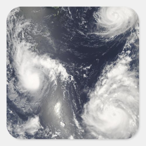 Three different typhoons square sticker